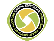 Официальные источники